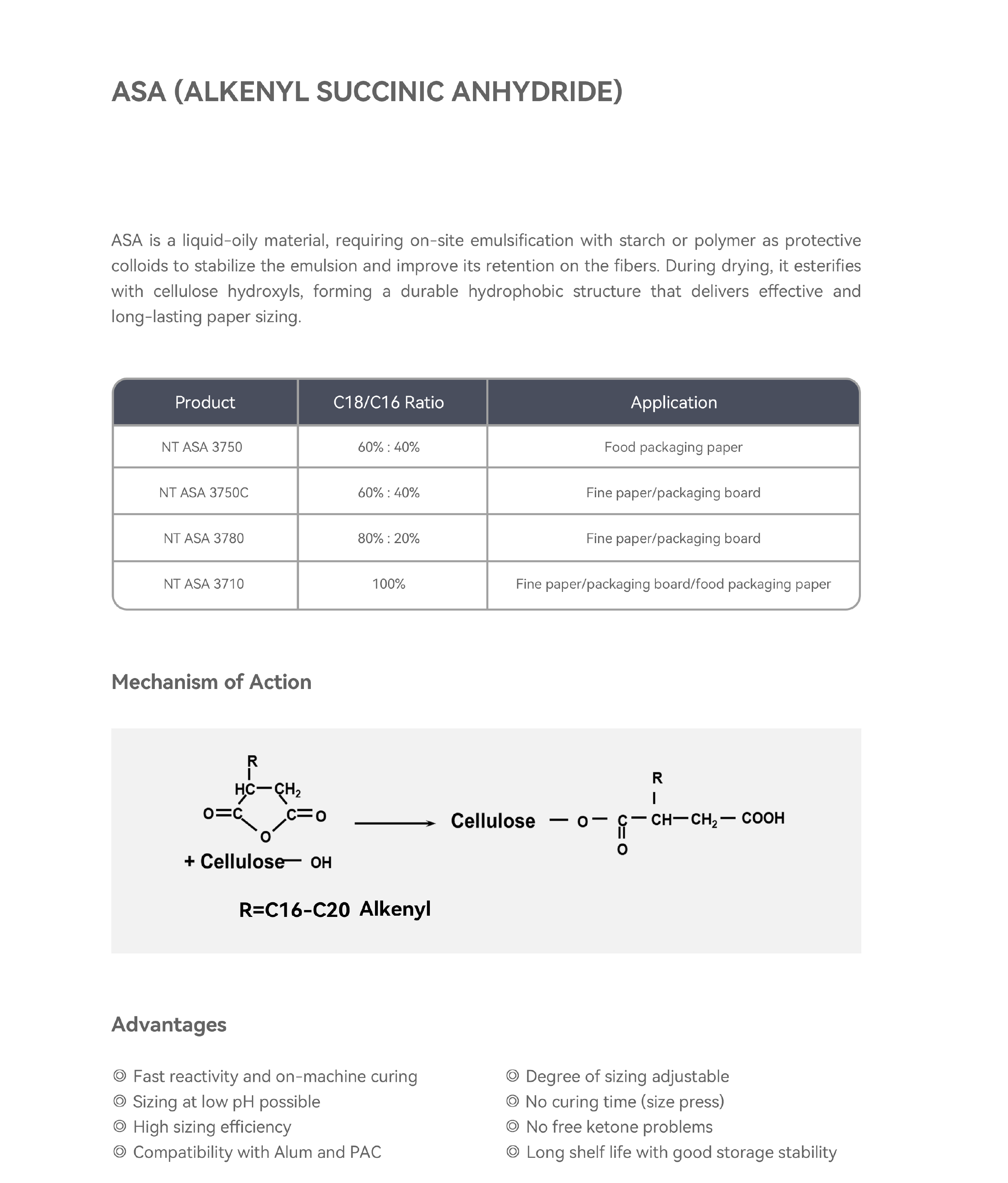 Sizing Agents